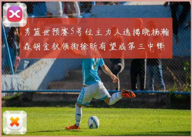 男篮世预赛5号位主力人选揭晓杨瀚森胡金秋领衔徐昕有望成第三中锋